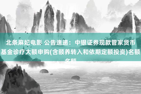 北条麻妃电影 公告速递:中银证券现款管家货币基金诊疗大额申购(含颐养转入和依期定额投资)名额