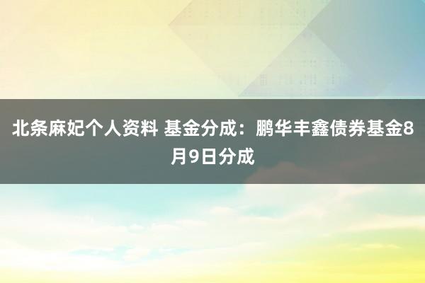 北条麻妃个人资料 基金分成:鹏华丰鑫债券基金8月9日分成