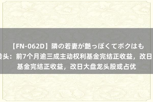 【FN-062D】隣の若妻が艶っぽくてボクはもう… 5 一周基金转头:前7个月逾三成主动权利基金完结正收益,改日大盘龙头股或占优