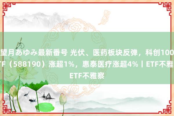 望月あゆみ最新番号 光伏、医药板块反弹,科创100ETF(588190)涨超1%,惠泰医疗涨超4%丨ETF不雅察