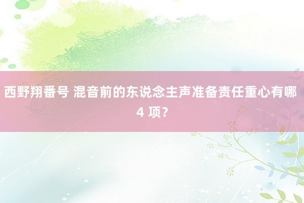 西野翔番号 混音前的东说念主声准备责任重心有哪 4 项?