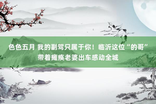 色色五月 我的副驾只属于你!临沂这位“的哥”带着瘫痪老婆出车感动全城