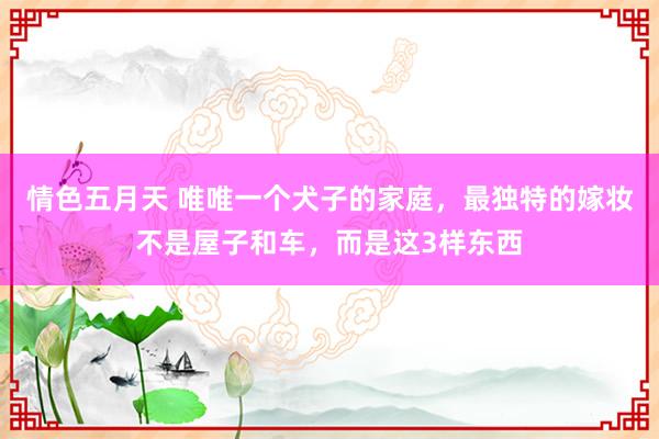 情色五月天 唯唯一个犬子的家庭,最独特的嫁妆不是屋子和车,而是这3样东西