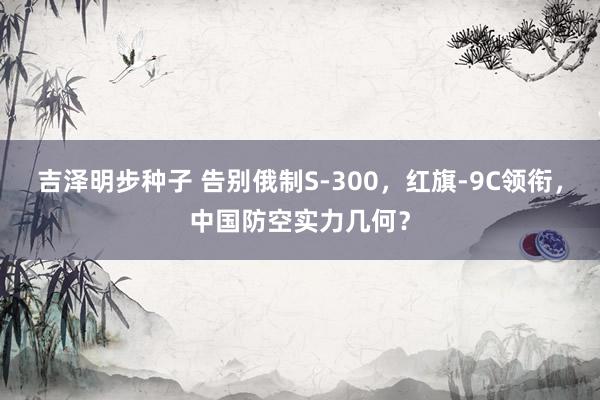吉泽明步种子 告别俄制S-300,红旗-9C领衔,中国防空实力几何?