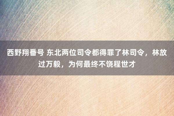 西野翔番号 东北两位司令都得罪了林司令,林放过万毅,为何最终不饶程世才