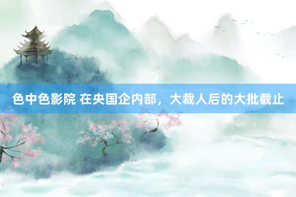 色中色影院 在央国企内部,大裁人后的大批截止