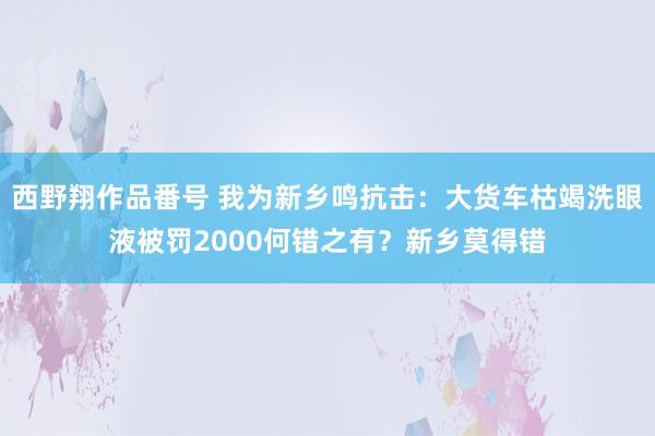 西野翔作品番号 我为新乡鸣抗击:大货车枯竭洗眼液被罚2000何错之有?新乡莫得错