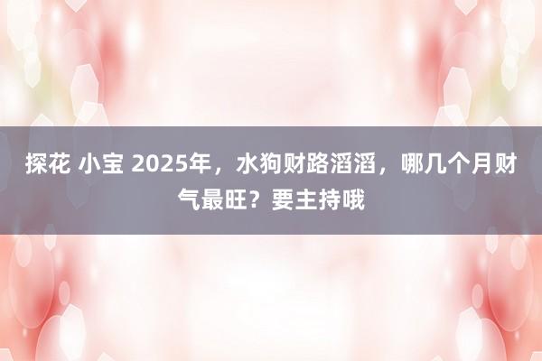 探花 小宝 2025年,水狗财路滔滔,哪几个月财气最旺?要主持哦