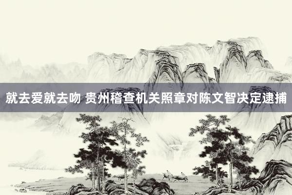 就去爱就去吻 贵州稽查机关照章对陈文智决定逮捕