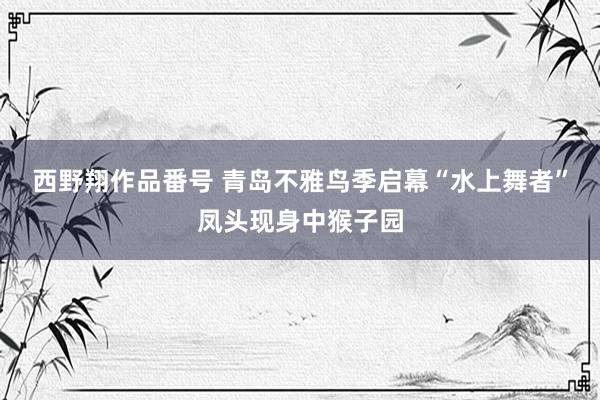 西野翔作品番号 青岛不雅鸟季启幕“水上舞者”凤头现身中猴子园