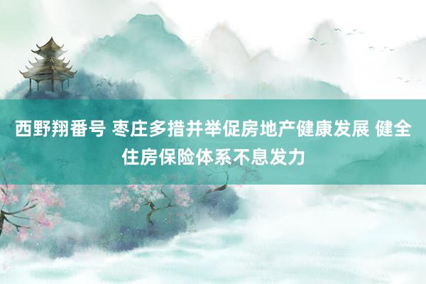 西野翔番号 枣庄多措并举促房地产健康发展 健全住房保险体系不息发力