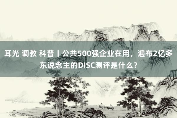 耳光 调教 科普丨公共500强企业在用，遍布2亿多东说念主的DISC测评是什么？
