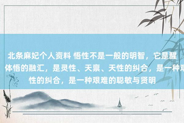 北条麻妃个人资料 悟性不是一般的明智,它是醒觉、会通、感悟、体悟的融汇,是灵性、天禀、天性的纠合,是一种艰难的聪敏与贤明