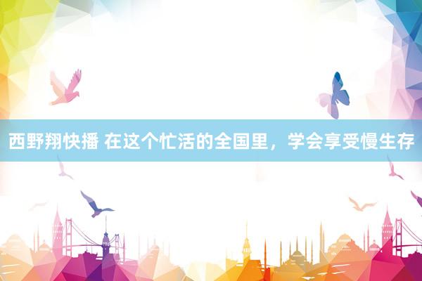 西野翔快播 在这个忙活的全国里,学会享受慢生存