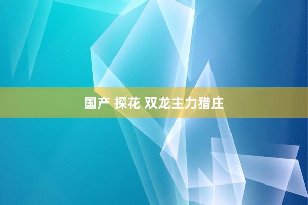 国产 探花 双龙主力猎庄