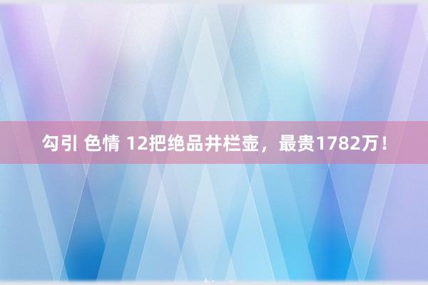 勾引 色情 12把绝品井栏壶,最贵1782万!